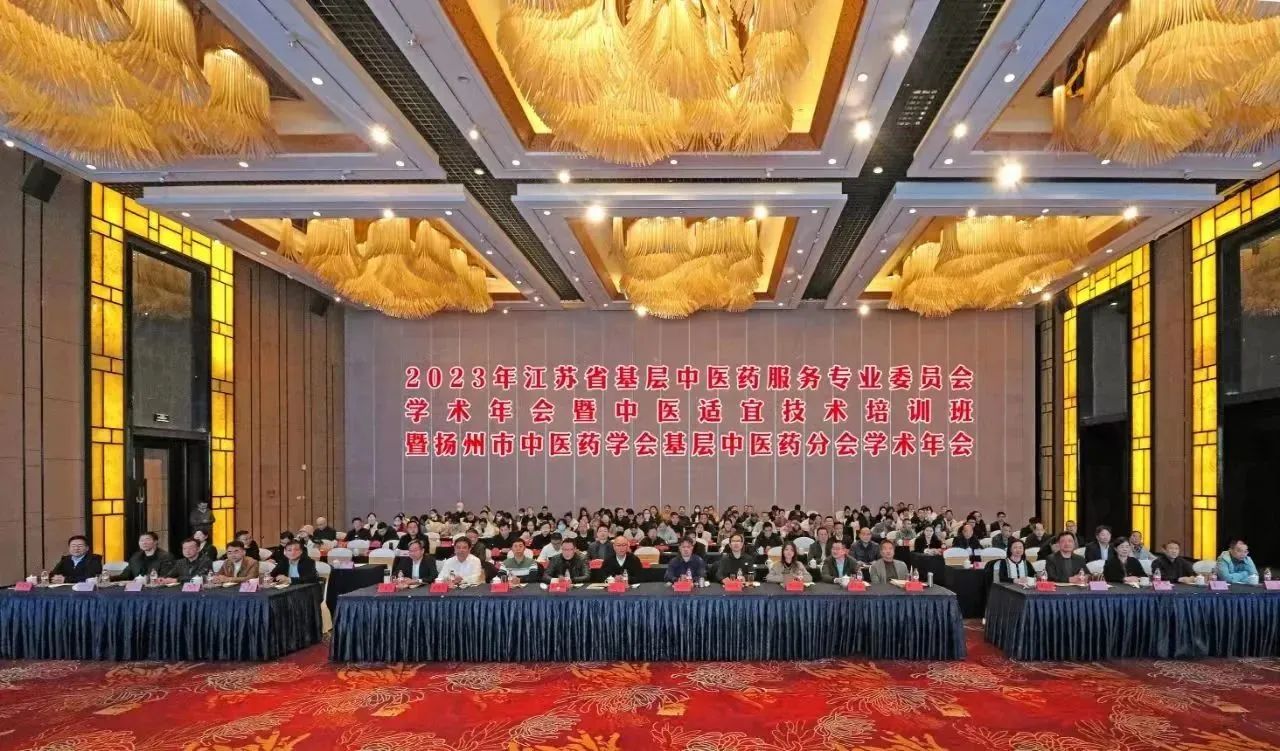 2023年江苏省基层中医药服务专..